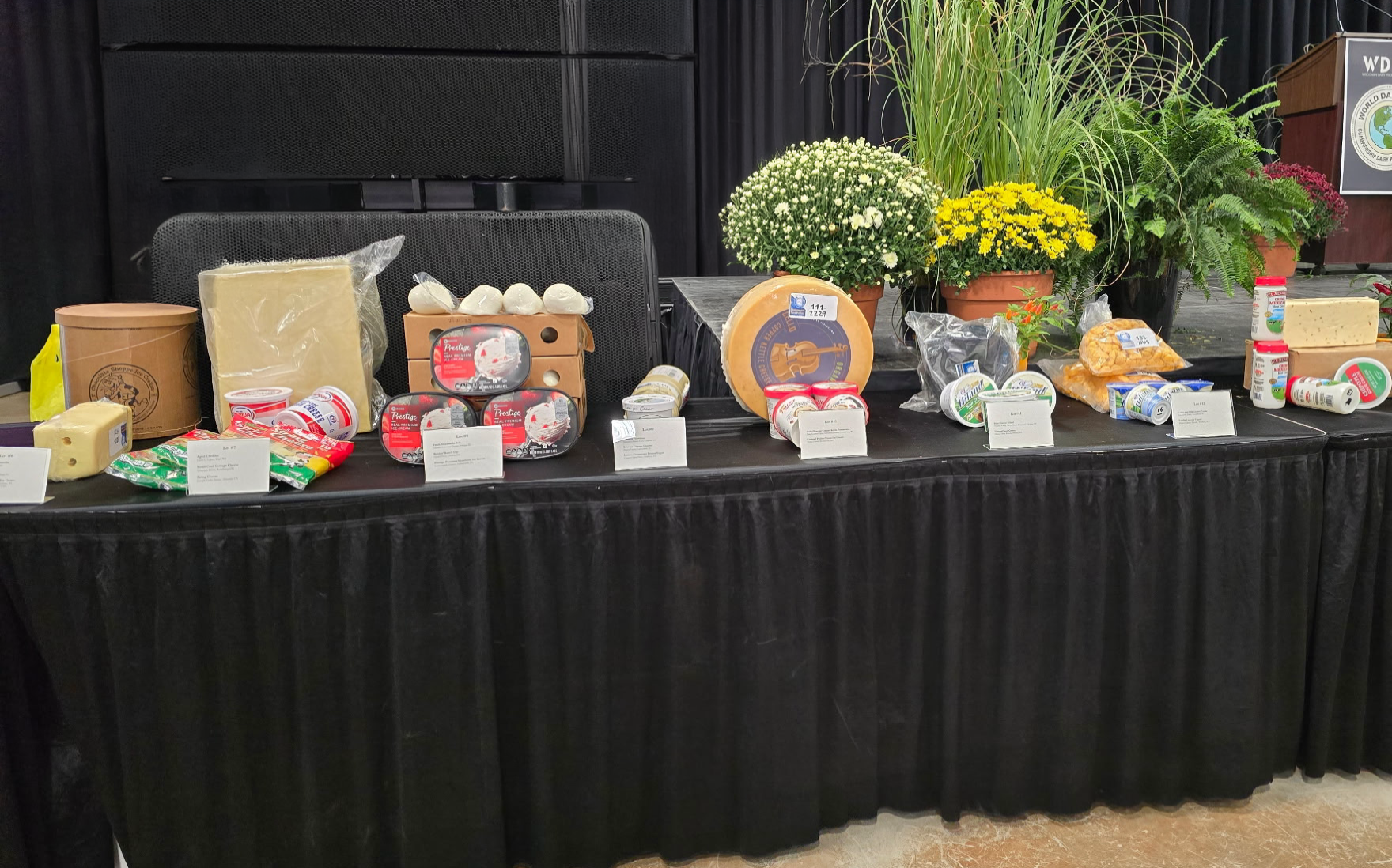 Display table with assorted cheeses and dairy products on a black tablecloth, stage plants in the background.